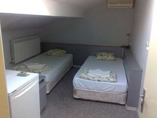 Отель Snejanka Family Hotel София Двухместный номер с 2 отдельными кроватями-2