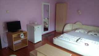 Отель Snejanka Family Hotel София Четырехместный номер-11